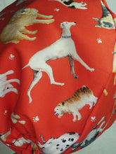 Load image into Gallery viewer, Dog Love Scrub Cap
