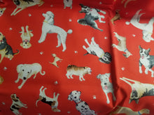 Load image into Gallery viewer, Dog Love Scrub Cap
